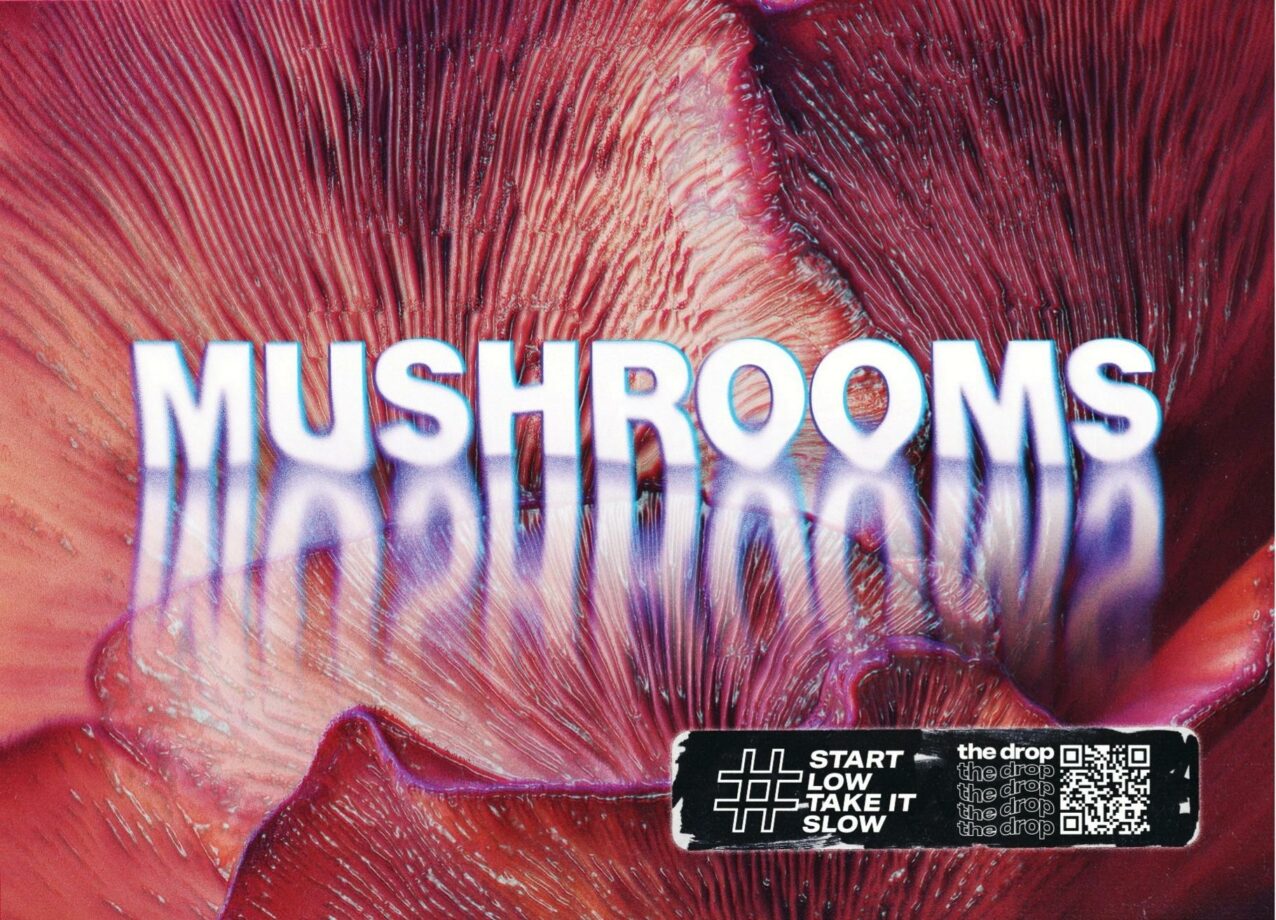 Magic Mushrooms